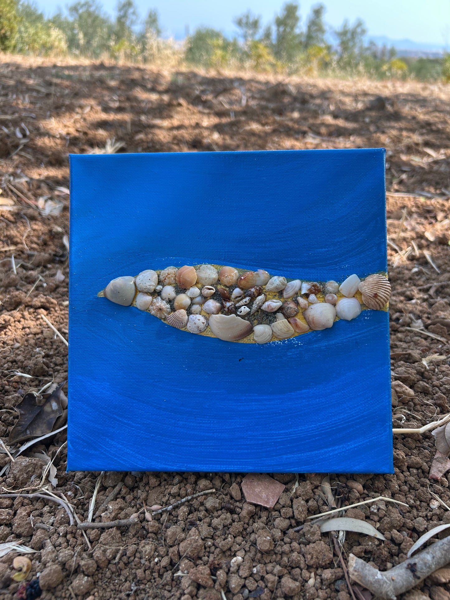 Ψάρι από κοχύλια